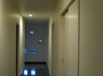 IMG_2412m.jpg